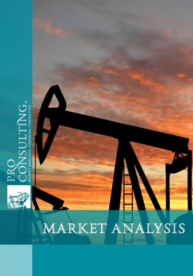 Market research of the prospects of development retail petroleum stations across Ukraine. 2010